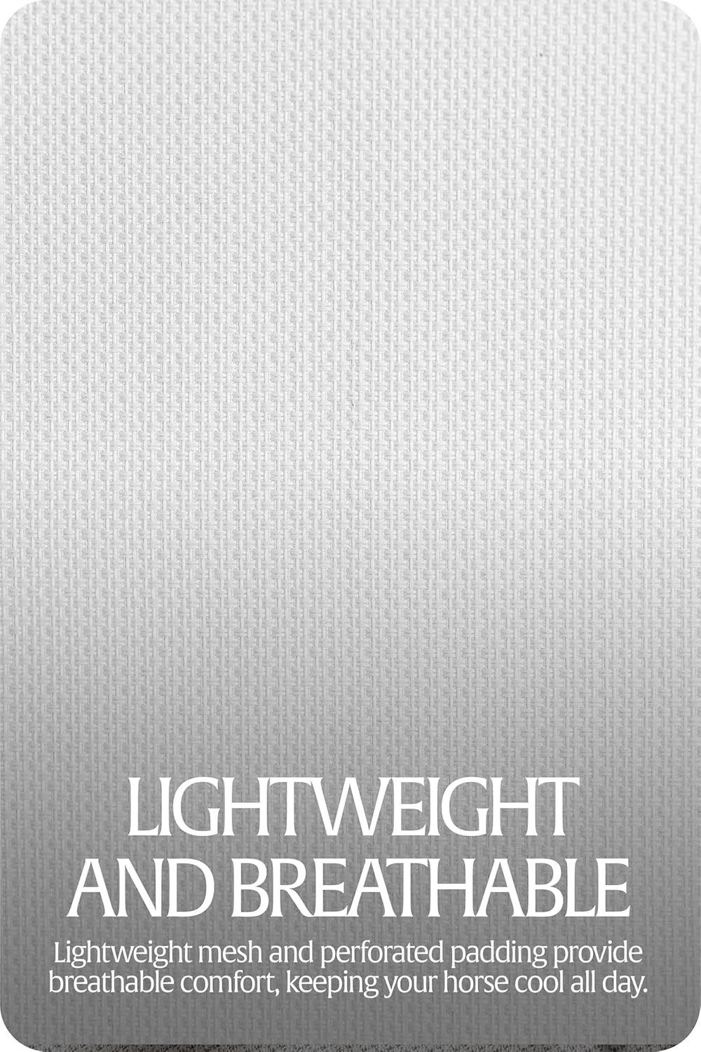 Equinavia Algard Soft Mesh Horse Fly Mask with Ear Protection and 45 UPF Rating | No Eye Irritation & UV Protection - Silver/Turquoise - Warmblood