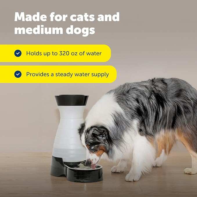 PetSafe Healthy Pet Food & Water Stations - Cat & Dog Food Storage Container - Filter Included with Waterer - Keeps Food & Water Fresh - Suitable for Small, Medium, & Large Dogs - Stainless Steel Bowl