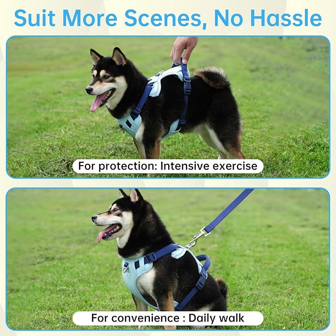 Dog Harness and Leash Set with Collar, No Pull Reflective Pet Vest Harness with Control Handle for Medium Large Dogs Walking and Training