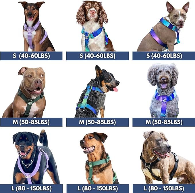 Spark Paws Comfort Control No Pull Dog Harness - Heavy Duty Front Clip | Safety Tested for Strong Breeds, w/ Metal Buckle & Top Handle – Padded Y-Straps Redirect Pulling. Solo or Matching Leash Set