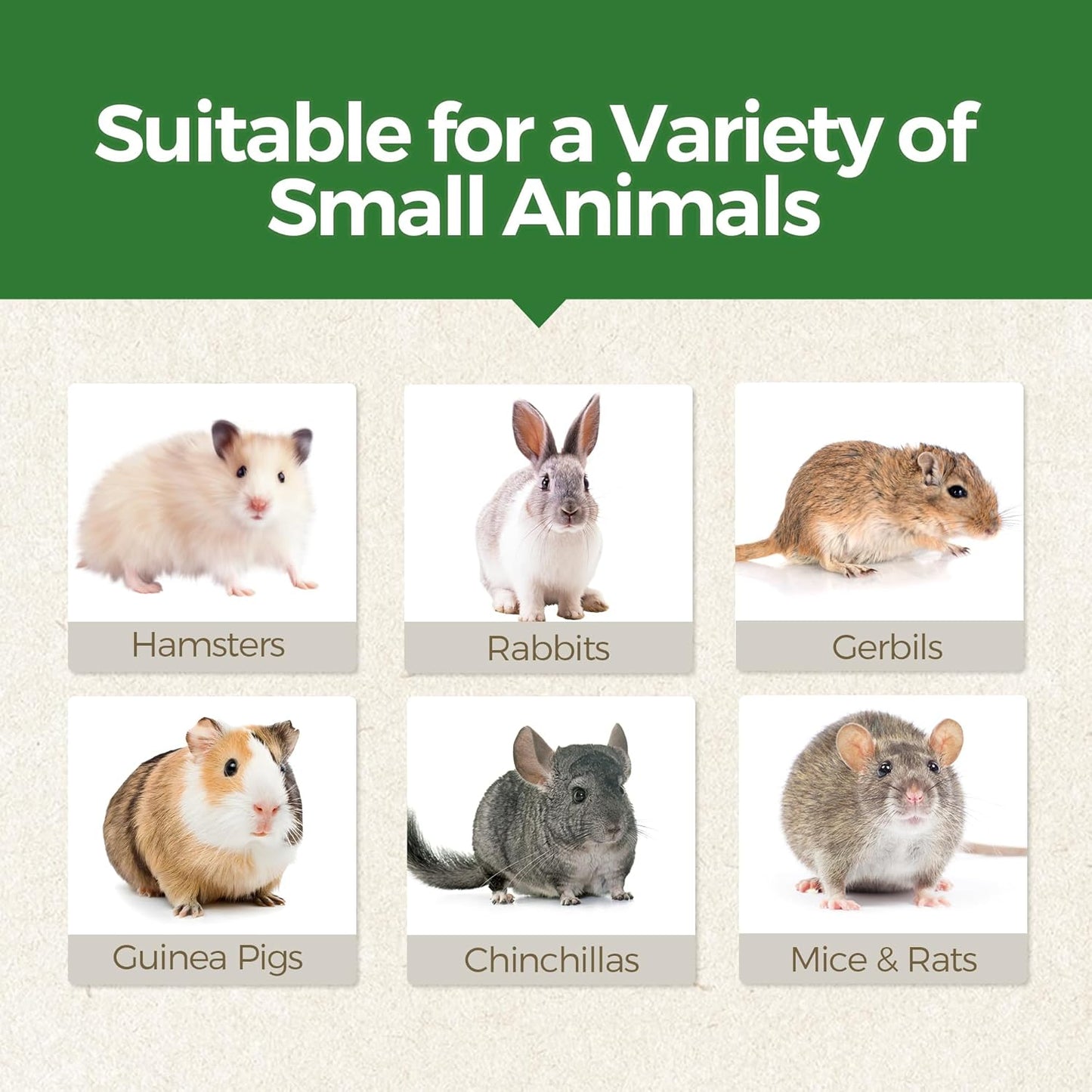 TEEWY Guinea Pig Chew Toys, Natural Vegetables and Timothy Grass, Hamster Chew Toys, Prevents Excessive Tooth Growth in Chinchillas, Gerbils, Hamsters, and Rabbits, Fruits & Vegetables Set