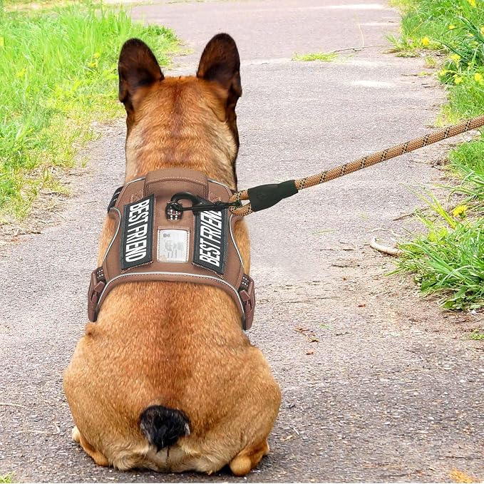 Beebiepet Heavy Duty Tactical Dog Harness for Small Dogs, No Pull Adjustable Pet Harness Reflective Service Training Easy Control Pet Vest Military K9 Working Dog Harnesses- Medium, Brown