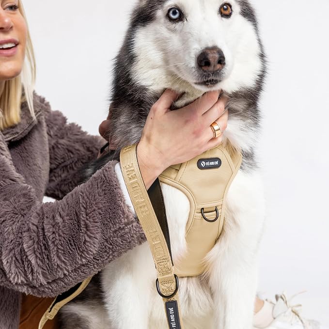Fei & Eve Classic Dog Harness, MagEase Magnetic Buckle | 3-Point No-Pull Control, Dual Handle Support, 900D Nylon, Tactical Patch Panel, Heavy Duty, Small, Champagne