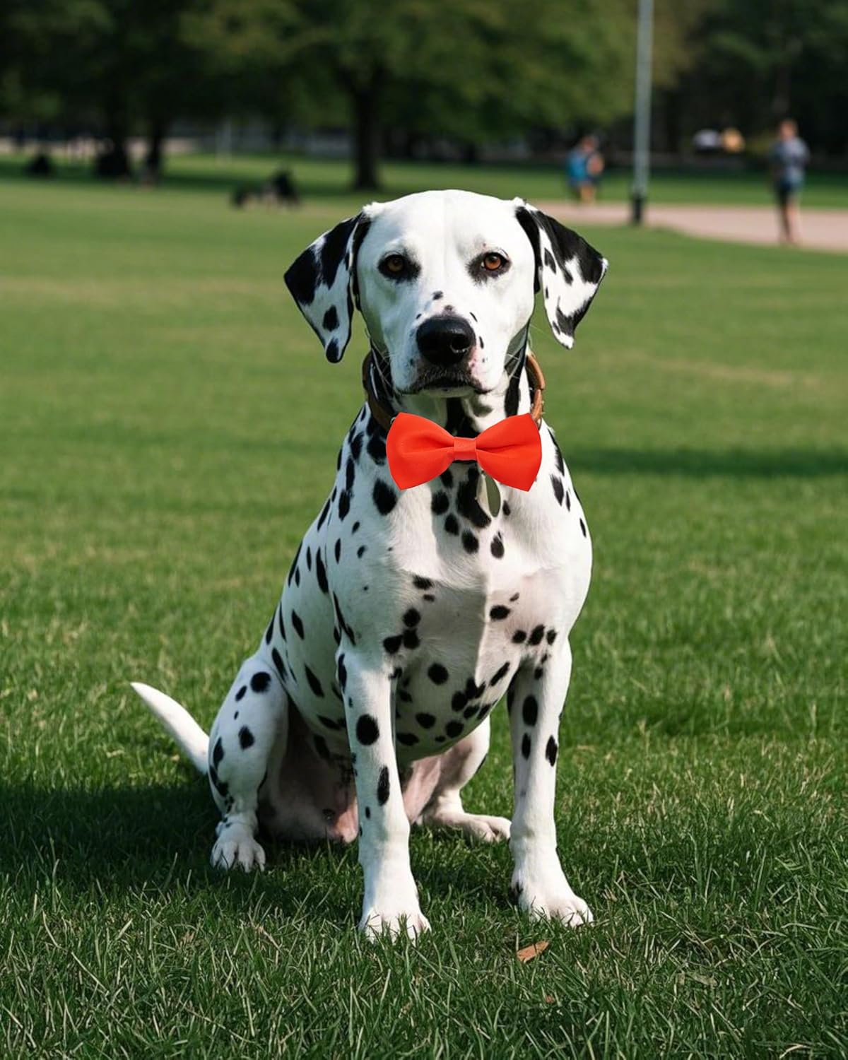 PET SHOW 12 Pack Plain Large Dogs Collar Embellishment Attachment Bow Ties for Medium Large Dogs Collar Charms Accessories Slides Bowties for Birthday Wedding Parties Assorted