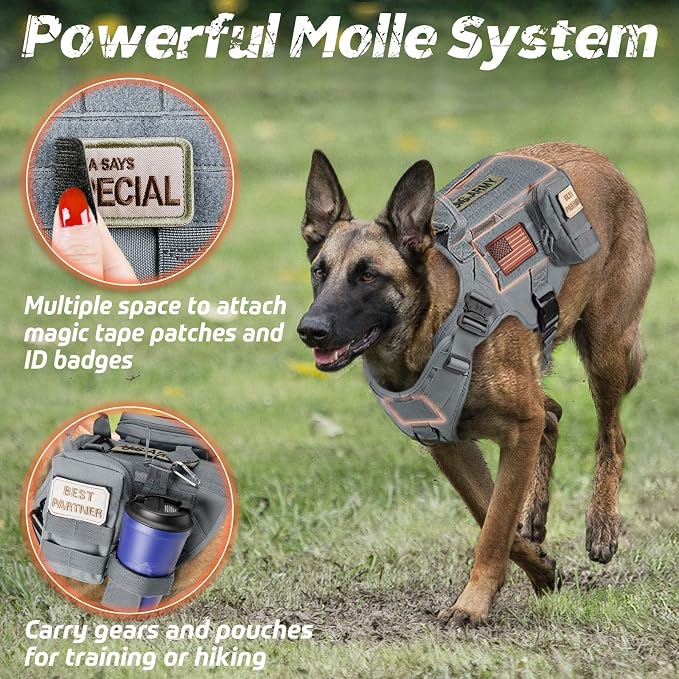 rabbitgoo Tactical Dog Harness for Large, Heavy Duty Military No Pull Vest | Sturdy Metal Buckles, 5 Adjustments, Molle System, Powerful Pullers for Training, Hunting, Outdoor, Grey, Large
