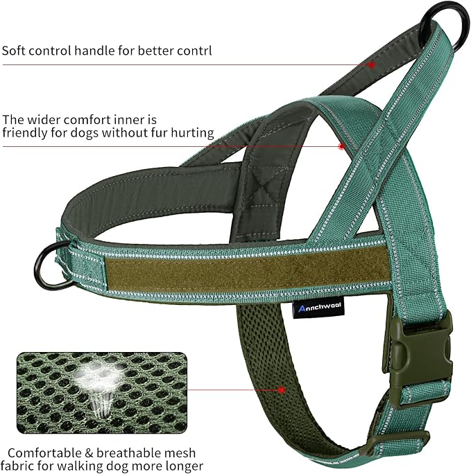 Annchwool No Pull Dog Harness with Padded Handle+5 Ft Leash,Reflective Strip Escape Proof and Quick Fit to Adjust Dog Harness,Easy for Training Walking for Small & Medium and Large Dogs(Green-Set,XL)