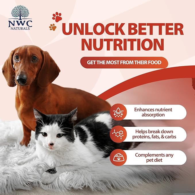 NWC Naturals Total-Zymes Digestive Enzymes for Cats and Dogs, Unflavored, Gut Health with Prebiotic to Support Food Digestion & Absorption, 100 Servings - 2.2 Ounces