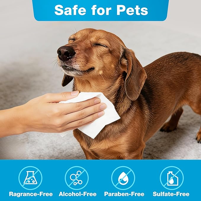 Prime Pets Dog Wipes for Paws and Butt, 300 Count, 8" x 6" Pet Grooming Wipes for Dogs Cats Cleaning Deodorizing, Unscented Dog Paw Wipes, Puppy Wipes for Face Bum Eyes Ears Teeth