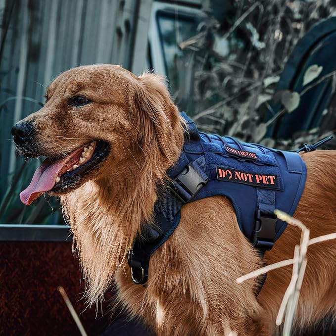 OneTigris Tactical Dog Harness with Handle No-Pull Adjustable for Small Dog | Military 1000D Pullable Nylon, Service Dog Vest with Hook & Loop Panels, Easy On & Off for Walking Hiking Training Blue XS