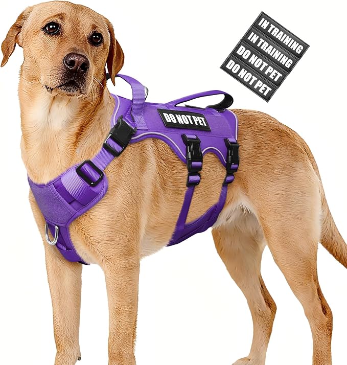 Escape Proof Dog Harness with Double Handle+4 Removable Patches | Service Working Molle Harness with Double Handle for Large Dogs, Tactical Pet Reflective Vest for Walking Hiking Hunting