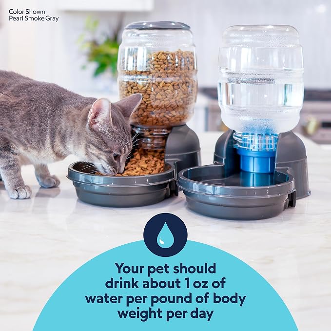 Petmate Replendish Automatic Dog Water Dispenser Gravity Pet Waterer with Microban Protection Base, 100% BPA Free - 0.5 Gallon, Wide Mouth Bowl, with 2 Extra Filters
