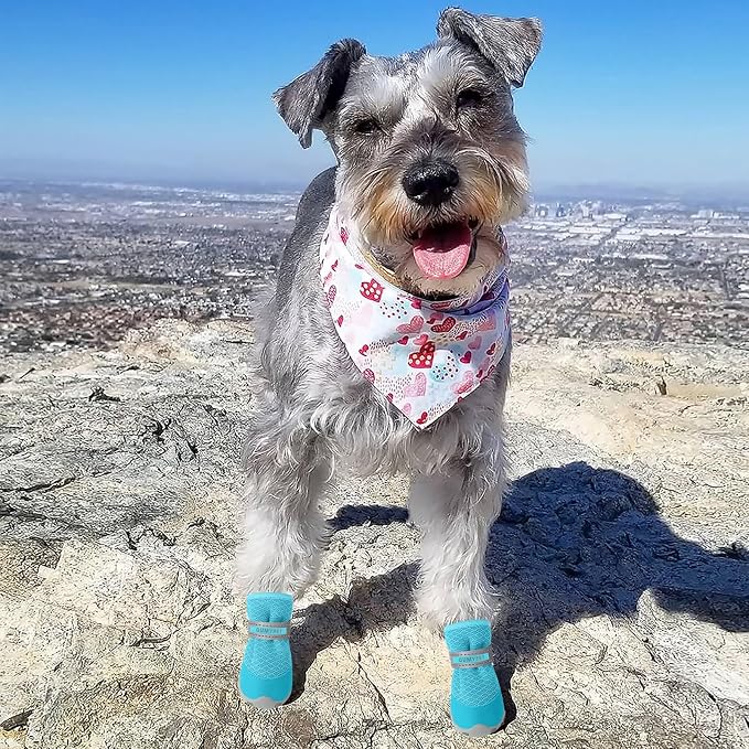 QUMY 4PCS Dog Shoes for Small Dogs, Hot Pavement Summer Puppy Dog Boots & Paw Protectors with Soft Anti-Slip Rubber Sole, Mesh Breathable Dog Booties for Hardfloors, Walking Running Blue Size 1