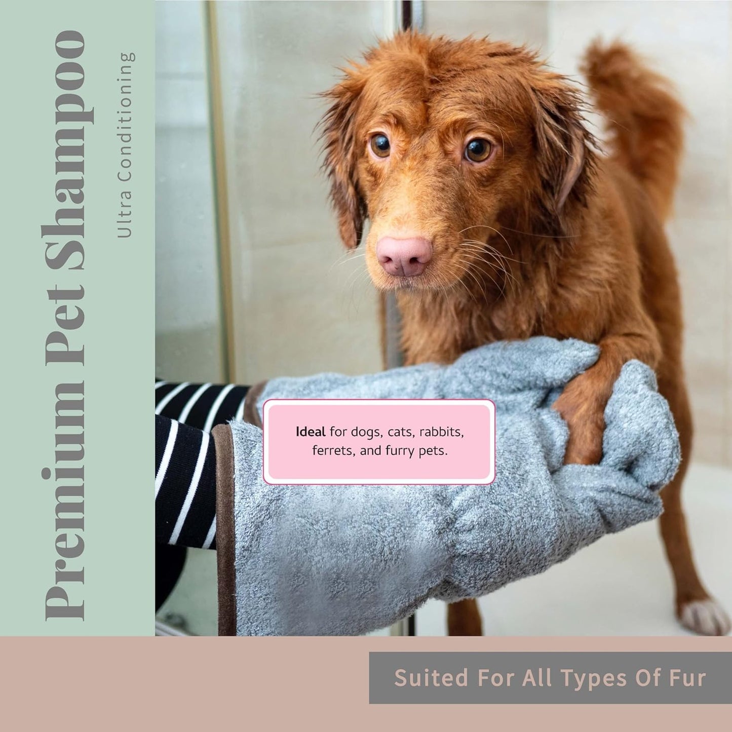 Begley’s No Rinse Waterless Pet Shampoo, Bathless Cleaning, Deodorizing, and Odor Removal for a Shiny, Fresh Smelling Coat - Effective for Dogs, Puppies, and Cats - Refill, Fresh Citrus