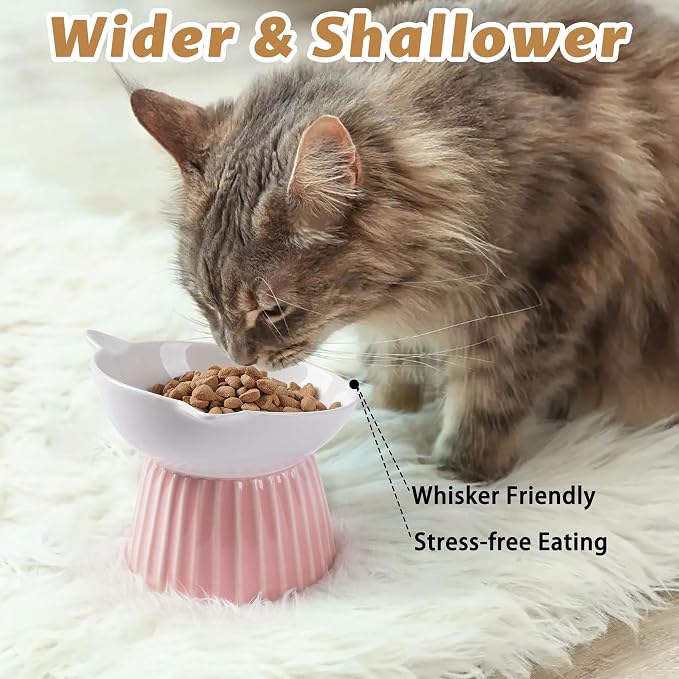 Ceramic Raised Cat Bowl，Tilted Raised Bowl Anti Vomit for Indoor Cats Whisker Friendly Pet Feeder for Cats Puppies, Microwave and Dishwasher Safe (Blue)