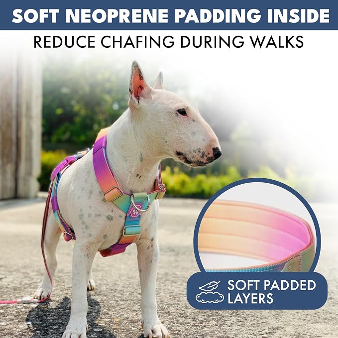 Spark Paws Comfort Control No Pull Dog Harness - Heavy Duty Front Clip | Safety Tested for Strong Breeds, w/ Metal Buckle & Top Handle – Padded Y-Straps Redirect Pulling. Solo or Matching Leash Set