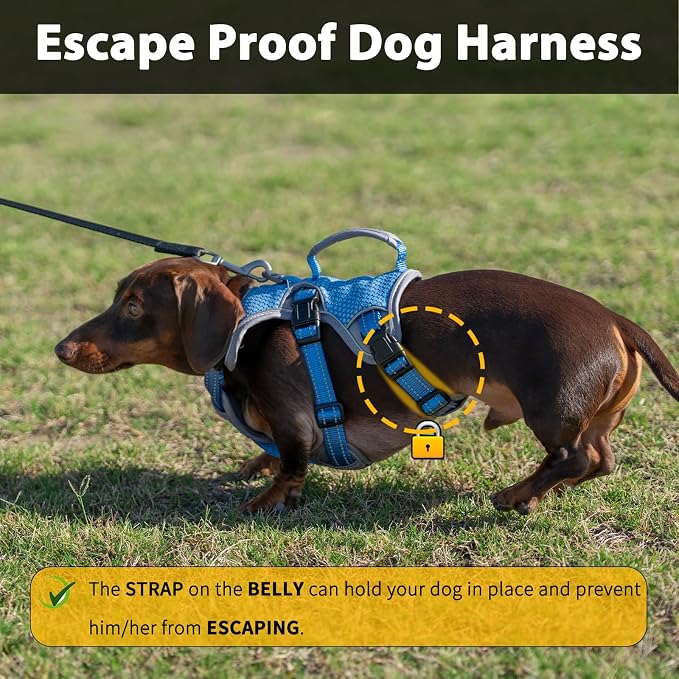 Escape Proof Dog Harness, Dachshund Harness, Reflective Dog Harness with Handle, Durable,Adjustable Vest for Small Medium Large Dogs Walking, Training, and Running Gear (Sea Blue,S)