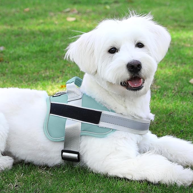 Dog Harness, No-Pull Reflective Dog Vest, Breathable Adjustable Pet Harness with Handle for Outdoor Walking - No More Pulling, Tugging or Choking