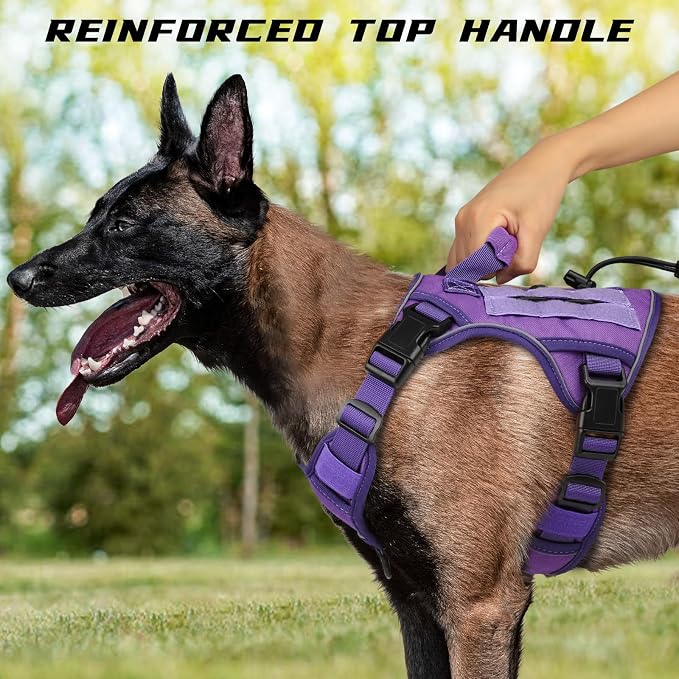 WINGOIN Purple Tactical Dog Harness for Medium Dogs,No Pull Dog Harness | with Handle,Adjustable Reflective,Military K9 Style,Big Size Dog Vest,for German Shepherd,for Walking Training Hunting
