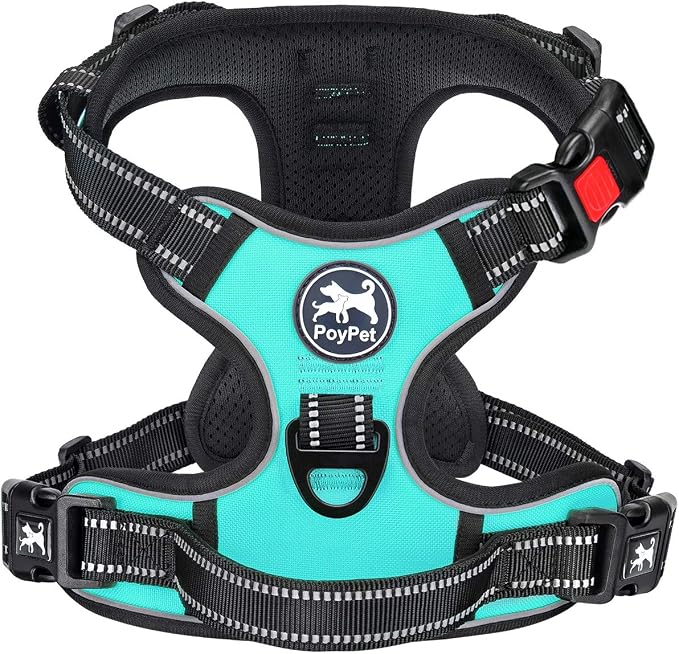 PoyPet No Pull Dog Harness Small with Front Clip & Neck Release Buckle | No Choke, Adjustable Vest, Reflective, Back Clip, Lockable, Soft Padded Handle for Walking Training, S, Mint Blue
