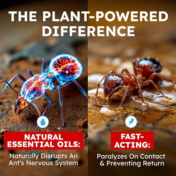 BugMD Pet Safe Ant Killer & Ants Spray Indoor Outdoor | Natural Plant-Based Ant Repellent that Kills on Contact with a Fresh Scent
