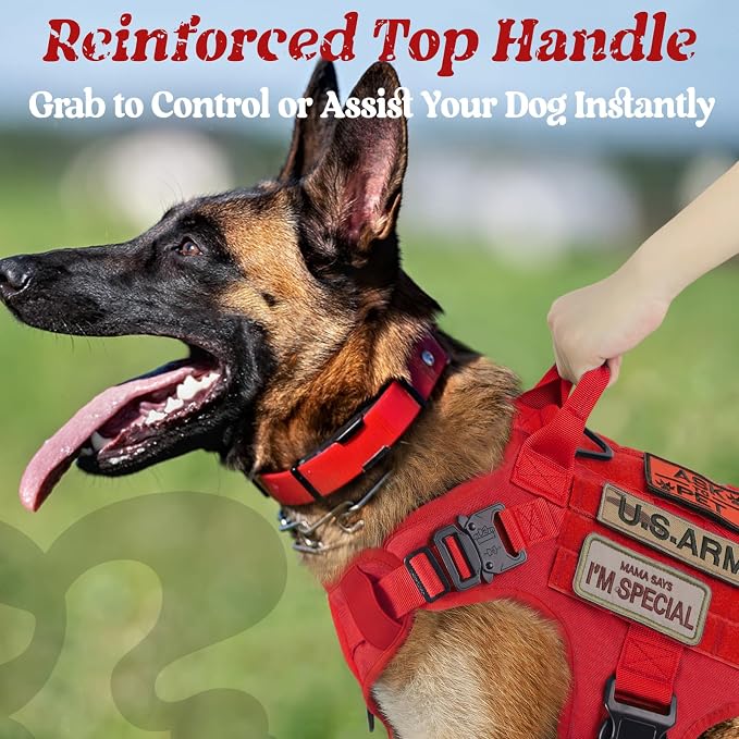 rabbitgoo Tactical Dog Harness for Large, Heavy Duty Military No Pull Vest | Sturdy Metal Buckles, 5 Adjustments, Molle System, Powerful Pullers for Training, Hunting, Outdoor, Red, Large