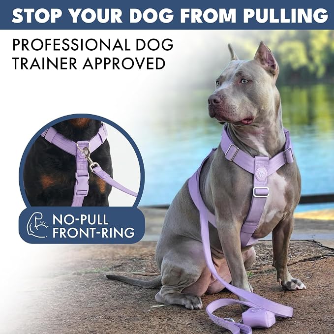 Spark Paws Comfort Control No Pull Dog Harness - Heavy Duty Front Clip | Safety Tested for Strong Breeds, w/ Metal Buckle & Top Handle – Padded Y-Straps Redirect Pulling. Solo or Matching Leash Set