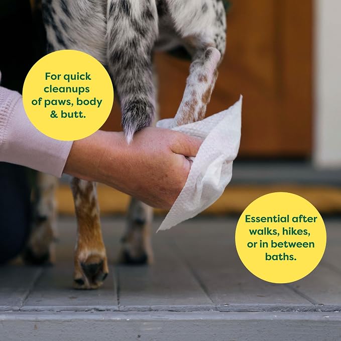 Earth Rated Dog Walking Essentials Bundle - Includes 600 Dog Waste Bags with Handles and 400 Dog Grooming Wipes, Lavender-Scented