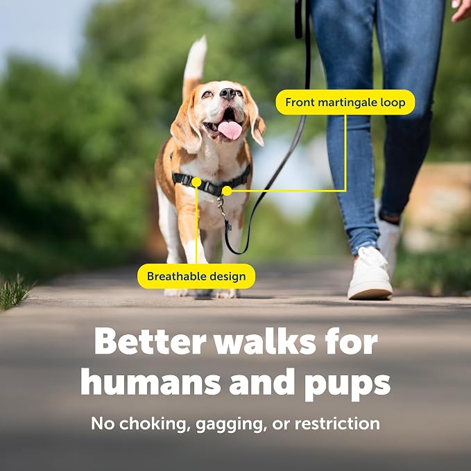 PetSafe Easy Walk Harness, No Pull Dog Harness, Royal Blue, Small/Medium | Patented Martingale Loop Gives Gradual Shoulder Pressure to Stop Pulling, Front-Chest Leash Clip Prevents Gagging