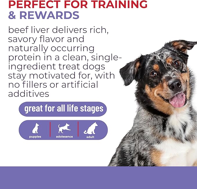 Momentum Carnivore Nutrition Freeze-Dried Beef Liver Dog Treats & Cat Treats – Single-Ingredient, High-Protein, Grain-Free, Nutrient-Rich – Made in USA – 4 oz Bag