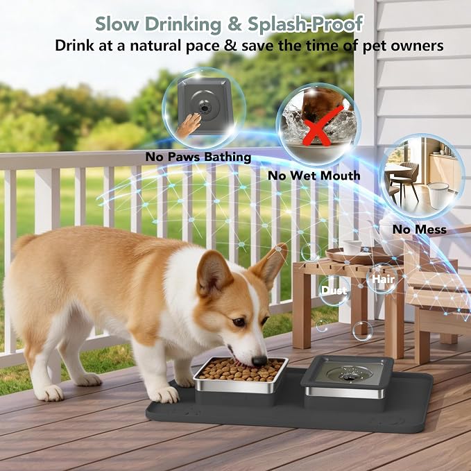 Dog Bowl Set, No Spill Dog Water and Food Bowl with Silicone Mat | Large Capacity 304 Stainless Steel Bowls, 2-In-1 Set, Slow Drinking, Anti-Slip Silicone Feeding Mat, Home/Travel, 6-7 Cups