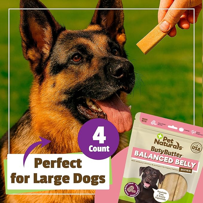 Pet Naturals BusyButter Balanced Belly Peanut Butter Bones, Rawhide-Free Chews for Medium/Large Dogs, Long Lasting Chew Bones, Probiotics & Pumpkin for Gut Health, 4 Count