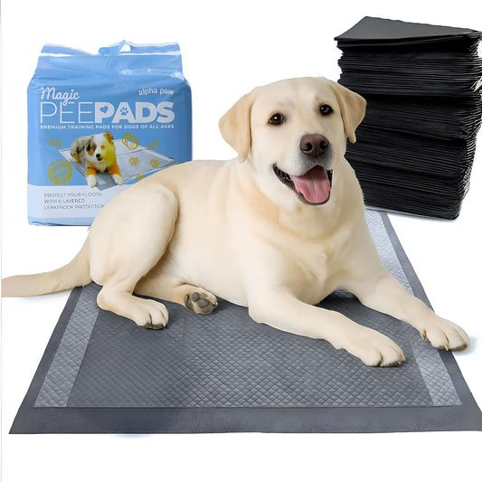 Alpha Paw - Magic Dog & Puppy Pee Pads - Puppy Pads with Charcoal, Extra Thick 6 Layers + Gel Tech Absorbs 6 Cups, Advanced Quick-Dry Indoor Wee Wee Pads for Dogs Training - XL Dog Pads 26”x30” 40 CT