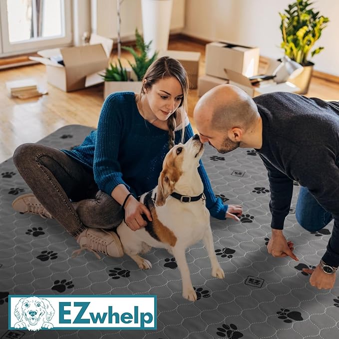 EZwhelp Reusable Quick Dry Pet Pee Pads - Waterproof, Washable for Large Dogs & Cats - Non-Slip Training Pads, Fast Absorbent - 50" x 50" Pack of 2