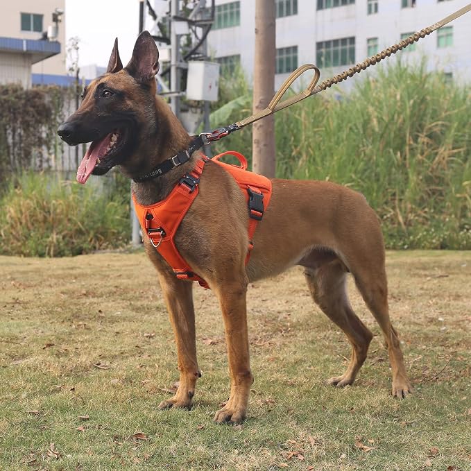 ICEFANG GN8 Tactical Dog Harness for X-Large Dogs,No Pull Dog Vest | Control Handle,Reflective,Adjustable,Hook-and-Loop Panel,3 Leash Clips,Soft Padded,,Orange,X-Large