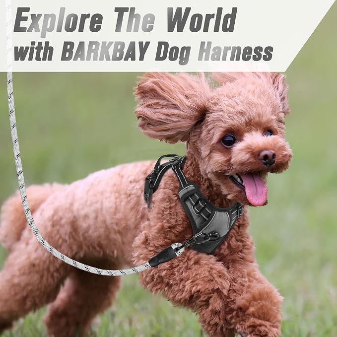 BARKBAY Dog Harness No Pull for Small Sized Dog Front Back Clips,Dog Vest | Soft Padded No Choke With Handle,Easy On&Off,Adjustable Reflective For Walking Training Running(Dark Grey,XS)