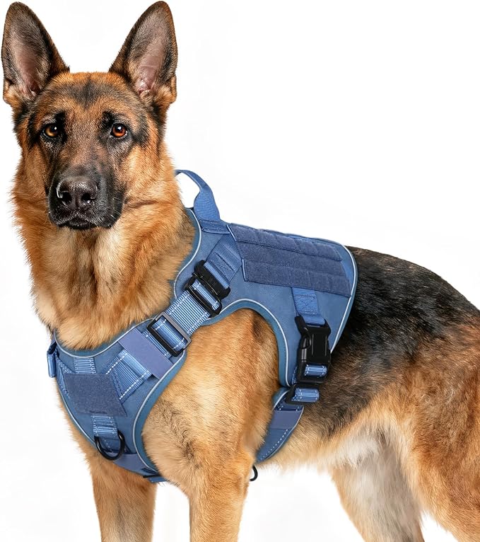 rabbitgoo Tactical Dog Harness X-Large, Heavy Duty Military No Pull Vest | Sturdy Metal Buckles, 5 Adjustments, Molle System, Powerful Pullers for Training, Hunting, Outdoor, Blue Reflex, X-Large