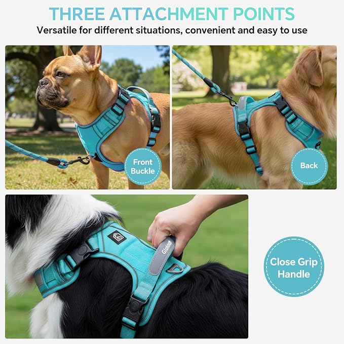 Heavy Duty Tactical Dog Harness for Medium Dogs, No Pull Dog Harness with Handle & Front Clip, Reflective Soft Padded, Hook and Loop Panel, Dog Vest for Walking, Service Training, Blue