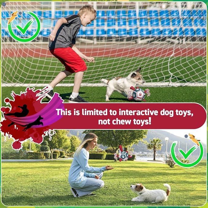 QDAN Dog Balls with Bell Inside, Outdoor Interactive Dog Toys for Tug of War, Dog Rope Toy, Squeaky Ball for Small Medium Dogs (6 Inch)