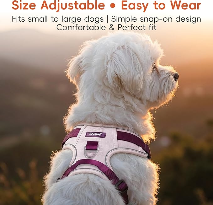 Dog Harness and Leash Set with Collar, No Pull Reflective Pet Vest Harness with Control Handle for Medium Large Dogs Walking and Training