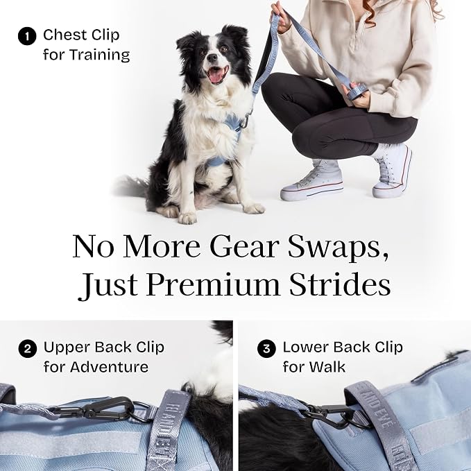 Fei & Eve Classic Dog Harness, MagEase Magnetic Buckle | 3-Point No-Pull Control, Dual Handle Support, 900D Nylon, Tactical Patch Panel, Heavy Duty, Large, Blue