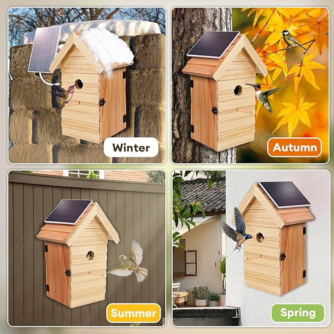 Smart Bird House with Camera, 2.4G WiFi & App Alerts, 160° Wide View 1080P HD Wireless Birdhouse, Auto Capture Bird Video & Motion Detection, Smart Bird House Camera Solar Powered (Natural, Normal)