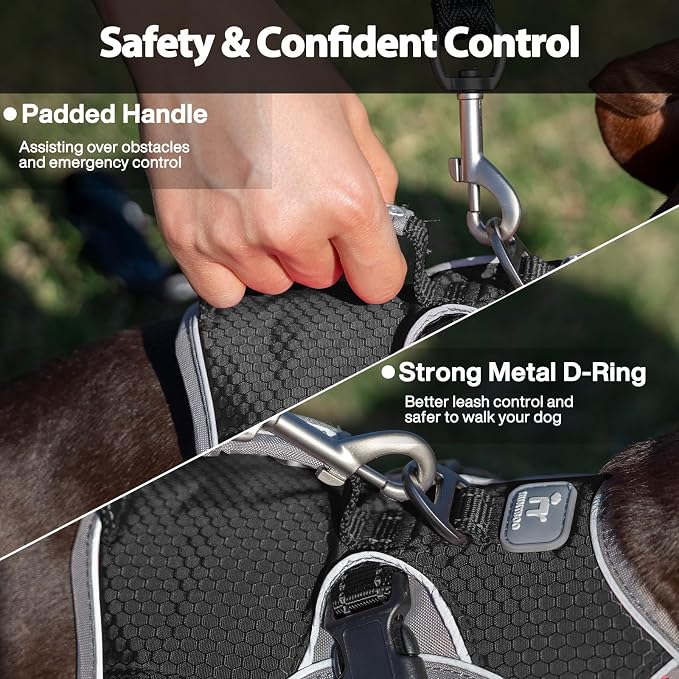Escape Proof Dog Harness, Dachshund Harness, Reflective Dog Harness with Handle, Durable,Adjustable Vest for Small Medium Large Dogs Walking, Training, and Running Gear (Black,S)