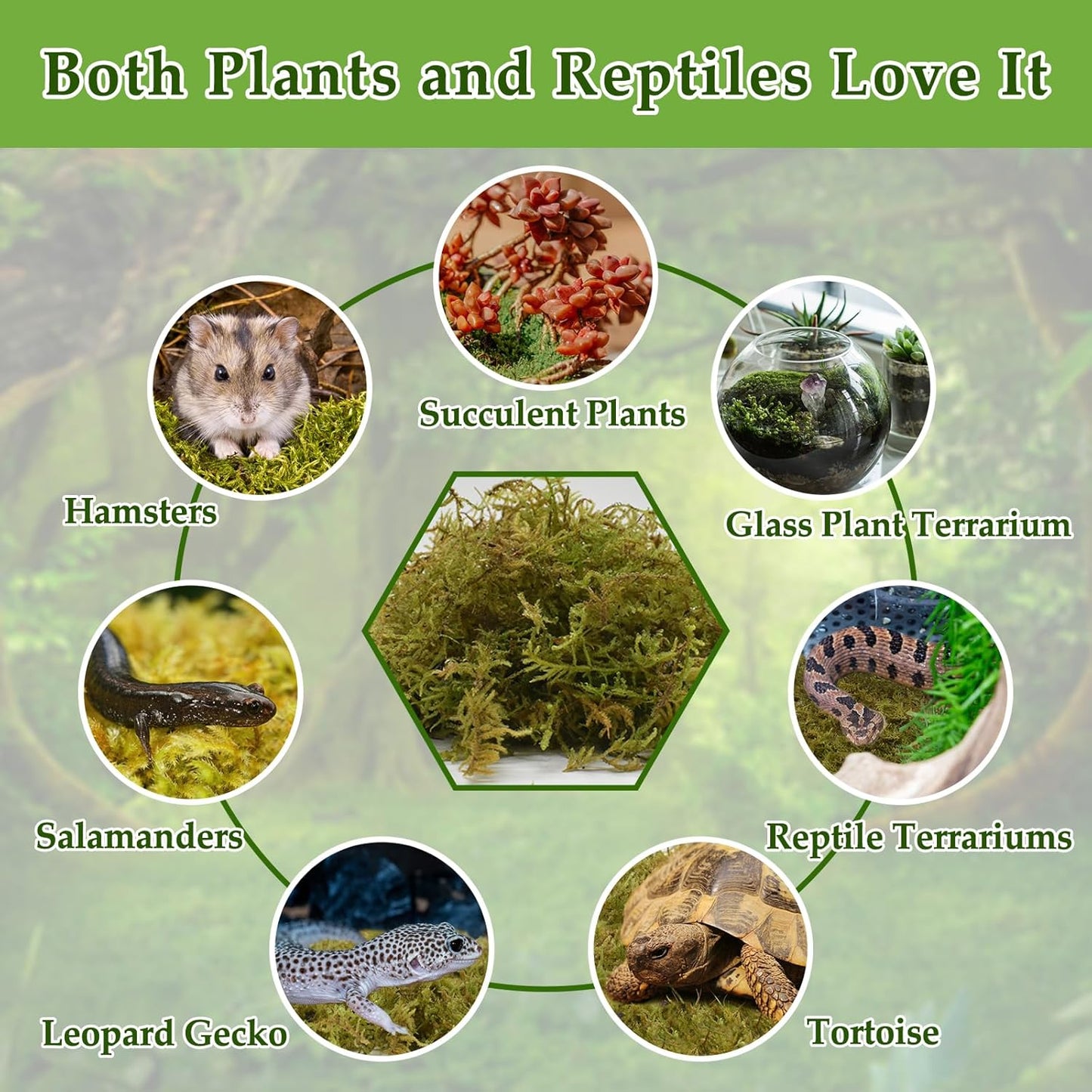 Halatool 1.5LB Natural Sphagnum Moss for Reptiles- 80QT Green Live Moss for Terrarium Plants Long Fiber Reptile Moss for Leopard Gecko Snake Hamsters Tortoises Frogs Lizards Salamanders