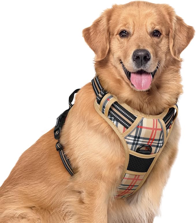 rabbitgoo Dog Harness, No Pull for Large Dogs with 2 Leash Clips, Pet Vest | No Choke with Handle, Adjustable Soft Padded, Reflective, Easy Control for Walking, Beige Plaid, X-Large