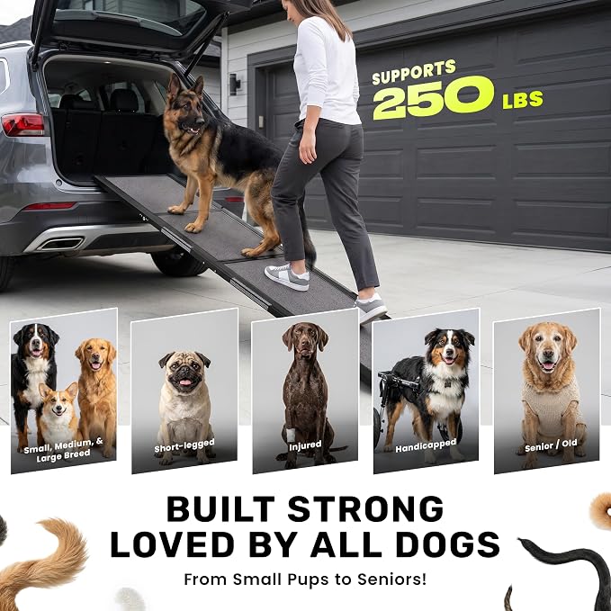 Dog Ramp for Car - 71" L x 17" W Portable Dog Ramp for Car | Foldable dog ramp for cars, trucks & SUVs, beds & sofas with anti-slip feet, traction carpet, 250 lb, for Corgis & Dachshunds