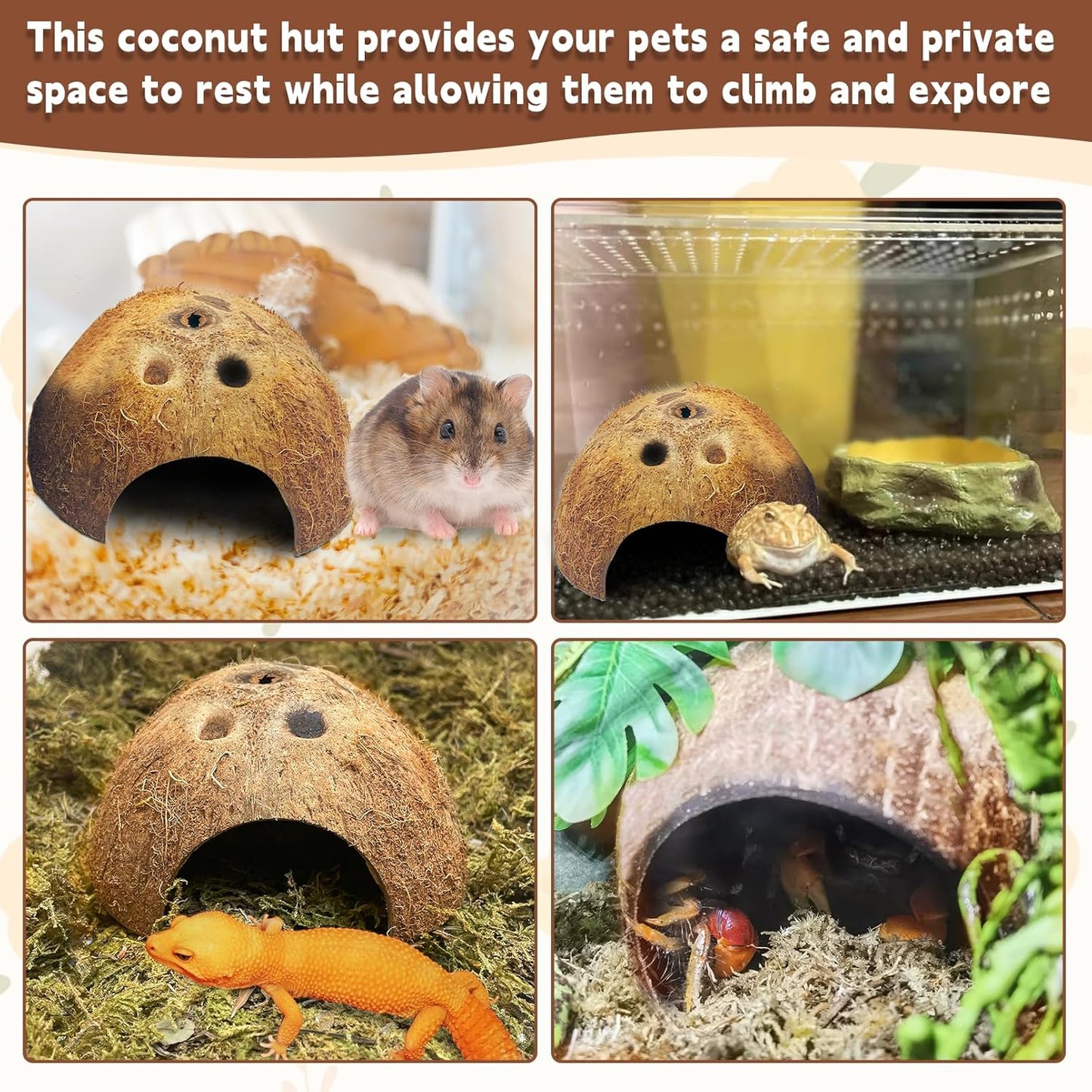 PINVNBY Natural Coconut Reptile Hideouts Lizard, Coco Hut Hermit Crab Hut Aquarium Fish Hide Cave for Small Reptile Crested Gecko Leopard Gecko Spider Snail Climber Toys (4 PCS Natural Surface)