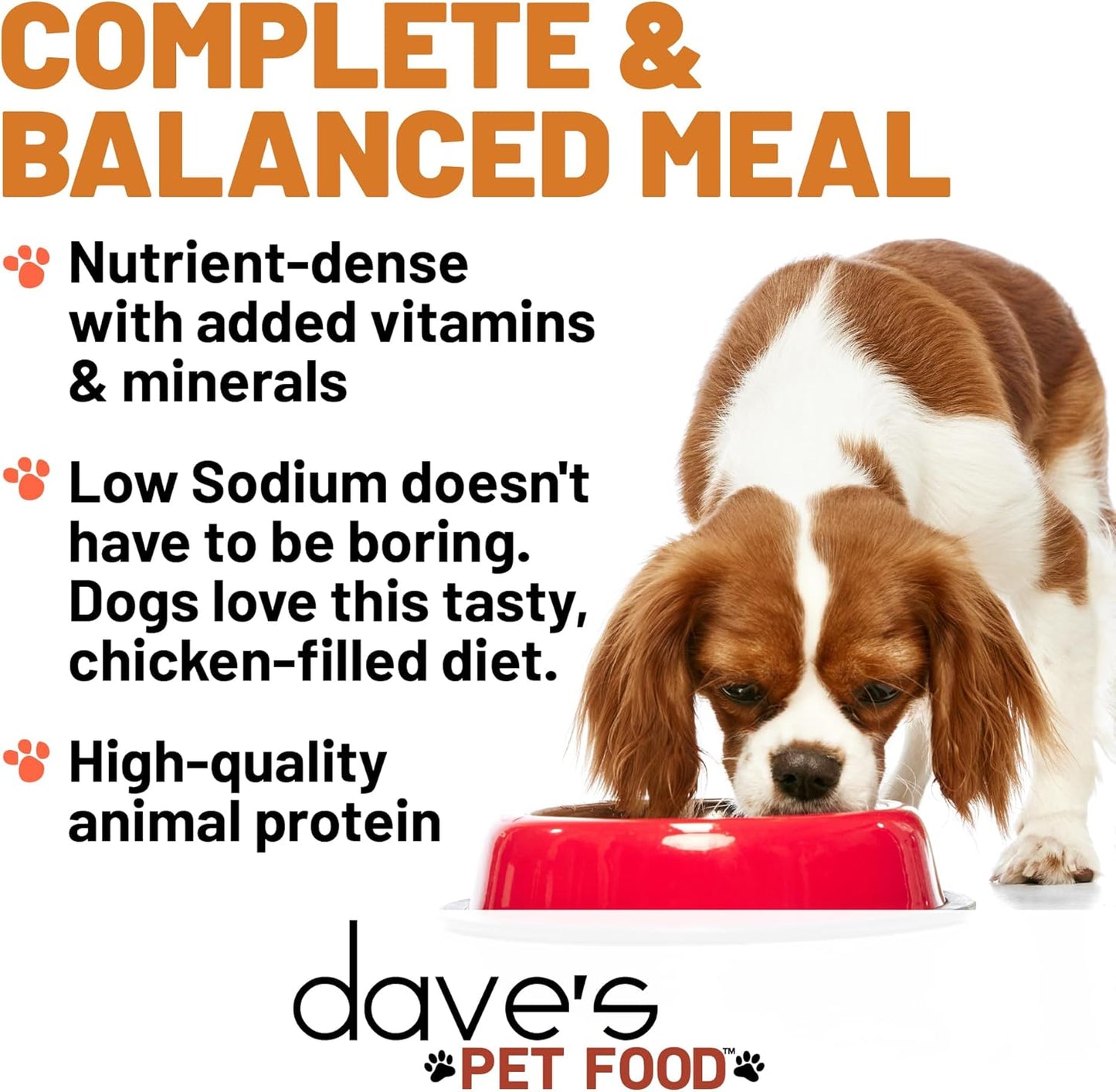 Dave's Pet Food Restricted Sodium Diet for Dogs, Chicken Pate Recipe, 13.2 oz Canned Dog Food, Case of 12