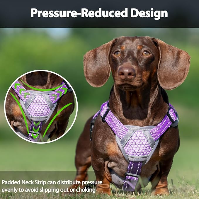 Escape Proof Dog Harness, Dachshund Harness, Reflective Dog Harness with Handle, Durable,Adjustable Vest for Small Medium Large Dogs Walking, Training, and Running Gear (Lavender Purple,M)