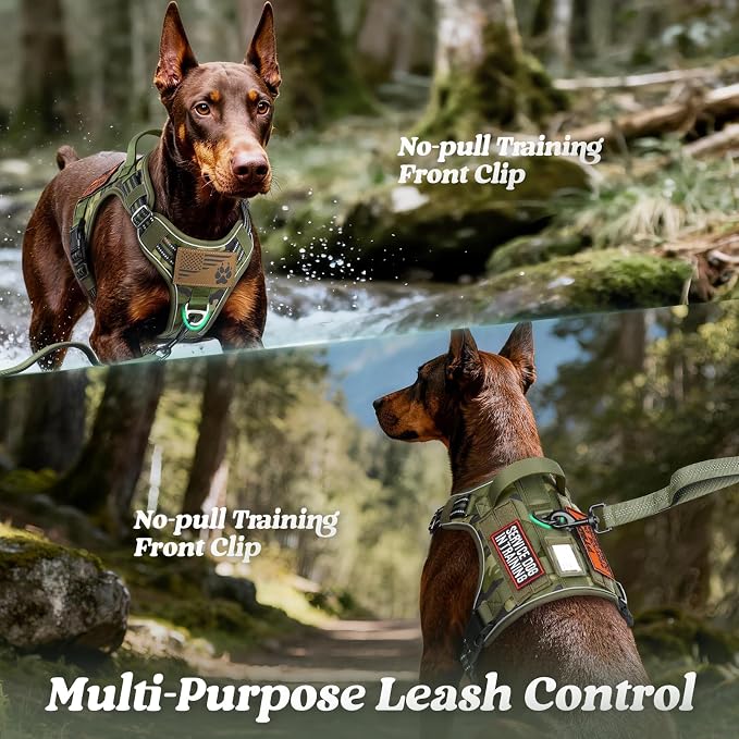 rabbitgoo Tactical Dog Harness for Small Dogs, No Pull Service Pet Vest | Military Molle System & Easy Control Handle, Adjustable and Reflective for Walking and Training, Green Camo, Small