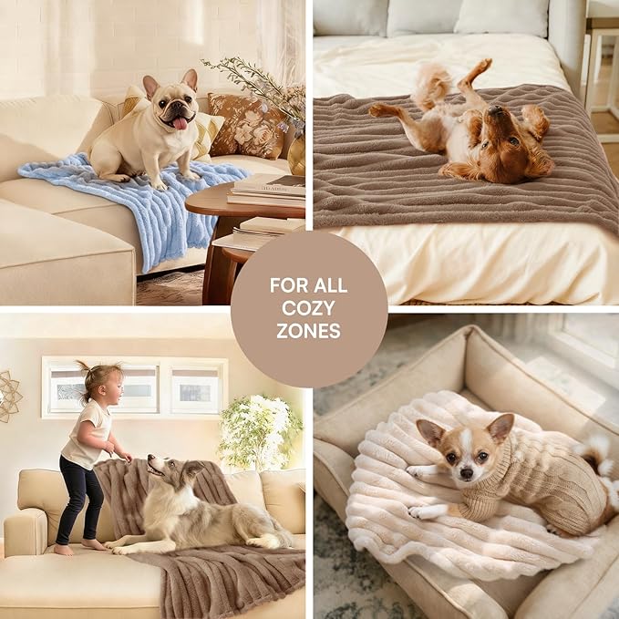 LINENLUX 1 Pack 3 Soft Dog Blanket Washable Warm Fleece Cat Blankets for Pet Puppy Fluffy Calming Flannel Brown/White/Blue Small